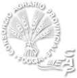 logo consorzio foggia