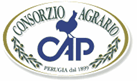 logo consorzio perugia