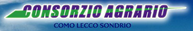 logo consorzio sondrio