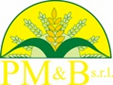 logo pm&b